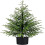 Sapin de Noël ACDANC Real Touch Norfolk Pine 61 cm 2