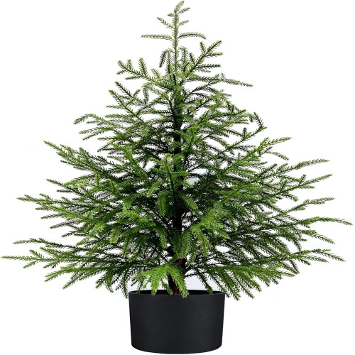 Sapin de Noël ACDANC Real Touch Norfolk Pine 61 cm 1