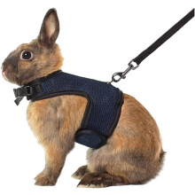 Hamster Harness Leash Set Adjustable Mesh Vest for Guinea Pig Bunny Rabbit Chinchilla Ferret Cat Rat Kitten Small Dog Kitten Puppy (Rose Red,S)