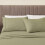 Twin Sage Brushed Microfiber Sheet Set 3-Piece 4