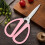 Stainless Steel Scissors 6-Inch Red Handles 4