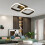HIBIBUD LED Ceiling Light Dual-Head Black 4