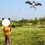 Χαρταετός Swallow Bird, εύκολος στην πτήση, αστείος χαρταετός εξωτερικού χώρου για 5