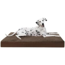Lit orthopédique pour grands chiens, marron, 89 x 56 cm