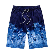 Heren hardloopshorts, sneldrogende workoutshorts, lichtgewicht sportshorts voor de sportschool, basketbalshorts, wandelshorts, shorts voor grote