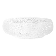 Bassin Ă brosses 15,70 x 15,70 x 4,70 cm Transparent