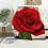 Red Rose Flannel Throw Blanket 50 x 60 in 1