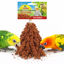 Jr Farm Dari W Kłosach Do Chrupania Dla Wszystkich Papug 100G