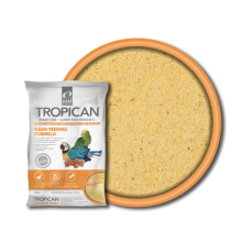 Hagen Hari Tropican Hand Feeding Formula - Pokarm Do Ręcznego Karmienia Piskląt 2Kg