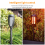 Solcellelamper med flamme – 8 stk. 5