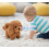 Realistic Robot Puppy 2025 – Walking, Barking, Tail Wagging Interactive Electronic Stuffed Dog 7