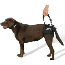 Airlift One Back Support Lift Harness – Soft Padded Leg Holes, Adjustable Handles, for Car/Stairs/Bathroom (Medium 18"-24", Black)