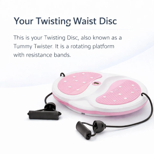 Waist Twisting Disc Ab Training Board 2