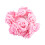 LED Rose String Lights – 6m 40-LED USB Powered 1