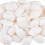 PH40pcs1~2inch Φυσικά κοχύλια χτενιών χωρίς τρύπα/άτρωτα κοχύλια παραλίας κοχύλια 1