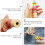 3-teiliges Strickwerkzeug-Set, DIY-Handgerät, Stricker, Anfänger, Kinder 7
