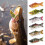 Set van 5 harde crankbaits en swimbaits in Sunfish Vibe-stijl 4