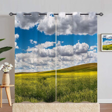Rideaux à œillets motif paysage naturel, occultants, panneaux préservant l'intimité pour chambre/salon, lot de 2 (107 x 213 cm), compatibles avec