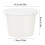 Fruit Box Portable Lunch Box Refrigerator Storage 1 Pack 3