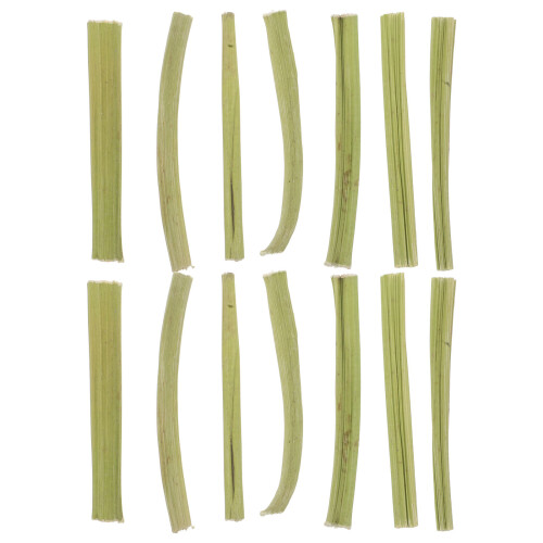 3Sets Stem Rabbit Chew Sticks Natural Treats 2