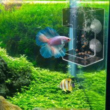 Floating Fish Feeder, Parrotfish Food Dispenser with Suspended Ring, Aquarium Feeding Tool for Fish Tank, Floating Fish Food Container for Pet Fish