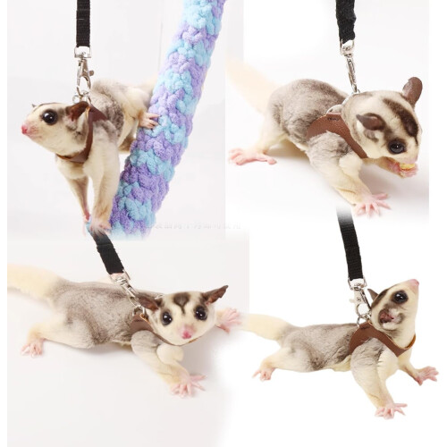 Σετ λουριών Sugar Gliders (3 τεμάχια), ρυθμιζόμενο γιλέκο και σχοινιά έλξης για μικρά 1