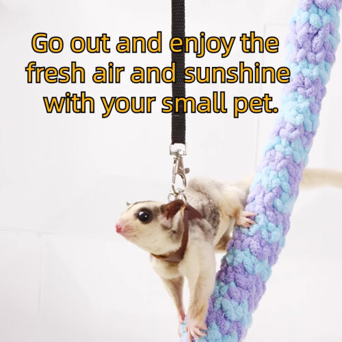 Σετ λουριών Sugar Gliders (3 τεμάχια), ρυθμιζόμενο γιλέκο και σχοινιά έλξης για μικρά 2