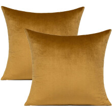 Ensemble de 2 housses de coussin décoratives carrées en velours doux avec fermeture éclair, pour canapé, lit, bureau, 61 x 61 cm