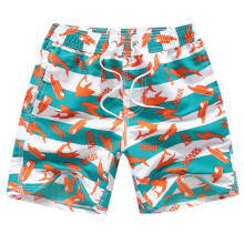 Little Boys Swim Trunks Kids Cartoon Dinosaurs Floral Swim Shorts Quick Dry Bathing Suit Swimwear 3-14 Years