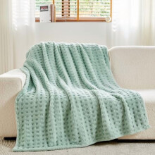 Flannel Fleece Throw Blanket Twin Size 60x80 in Sage Green
