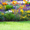 4-delt blomsterbedshegn i metal 4