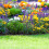 4-delt blomsterbedshegn i metal 14