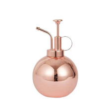 1Pc Spray Bottle 500ml Stainless Steel Watering Can Indoor Plants Gardening Tool