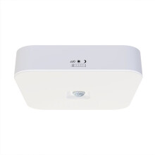 Plafondlamp met Bewegingssensor, Draadloze LED-Kastlamp met Automatische aan/Uit-Functie en 100-Detectie, voor Kast, Voorraadkast en Wasruimte