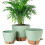 Vasos Autoirrigáveis de 8/10/12 Polegadas para Plantas de Interior/Exterior - Vaso  de Plástico com Furos de Drenagem e Indicador de Nível de 1