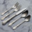 Chateau Dinner Spoons 18/10 Stainless Steel 4-Pc 2