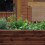 Blumenstäbe 30 cm im 50er Set 4