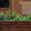 Blumenstäbe 30 cm im 50er Set 14