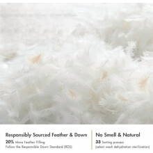 16x16 Pillow Inserts,Set of 2 Down Feather Throw Pillows for Couch Sofa Bed, Decorative Fluffy Throw Pillow Inserts Cotton Fabric,White
