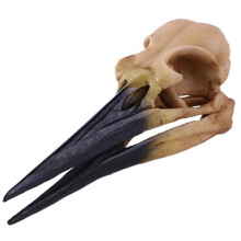 Split Yellow Oystercatcher Resin Model Collection hem och bar