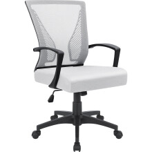 Lacoo Mid-Back Ergonomic Mesh Office Chair White