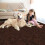 Covor mov Shag Runner 60x180 cm 5