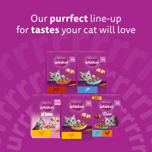 Whiskas Junior Chicken 7 kg Bag, Kitten Cat Dry Food - Pack May Vary