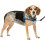 Szelki dla psa Easy Walk Small/Medium Royal Blue 1