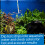 API 5-IN-1 TEST STRIPS Freshwater and Saltwater Aquarium Test Strips 25-Count Box 7
