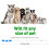 LED Dog Collar,Glow Light Collar for Dogs,Ultra Bright USB 6