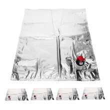 5er-Pack wiederbefüllbare Weinbeutel mit Ausgießer, auslaufsicher, wiederverwendbar, zur Aufbewahrung von Wein und Getränken, ideal für Camping