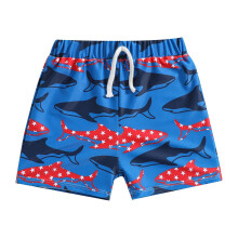 Boy's Swimsuit Toddler Kids Baby Boy Summer Print Shorts Quick Dry Beach Swimwear Swimming Trunks Clothes Beach Shorts