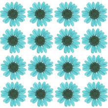 48PCS Dried Daisy Flower, Vacuum Packaging, Pressed Flower for House Decoration, Jewelry Making, Phone case Decoration