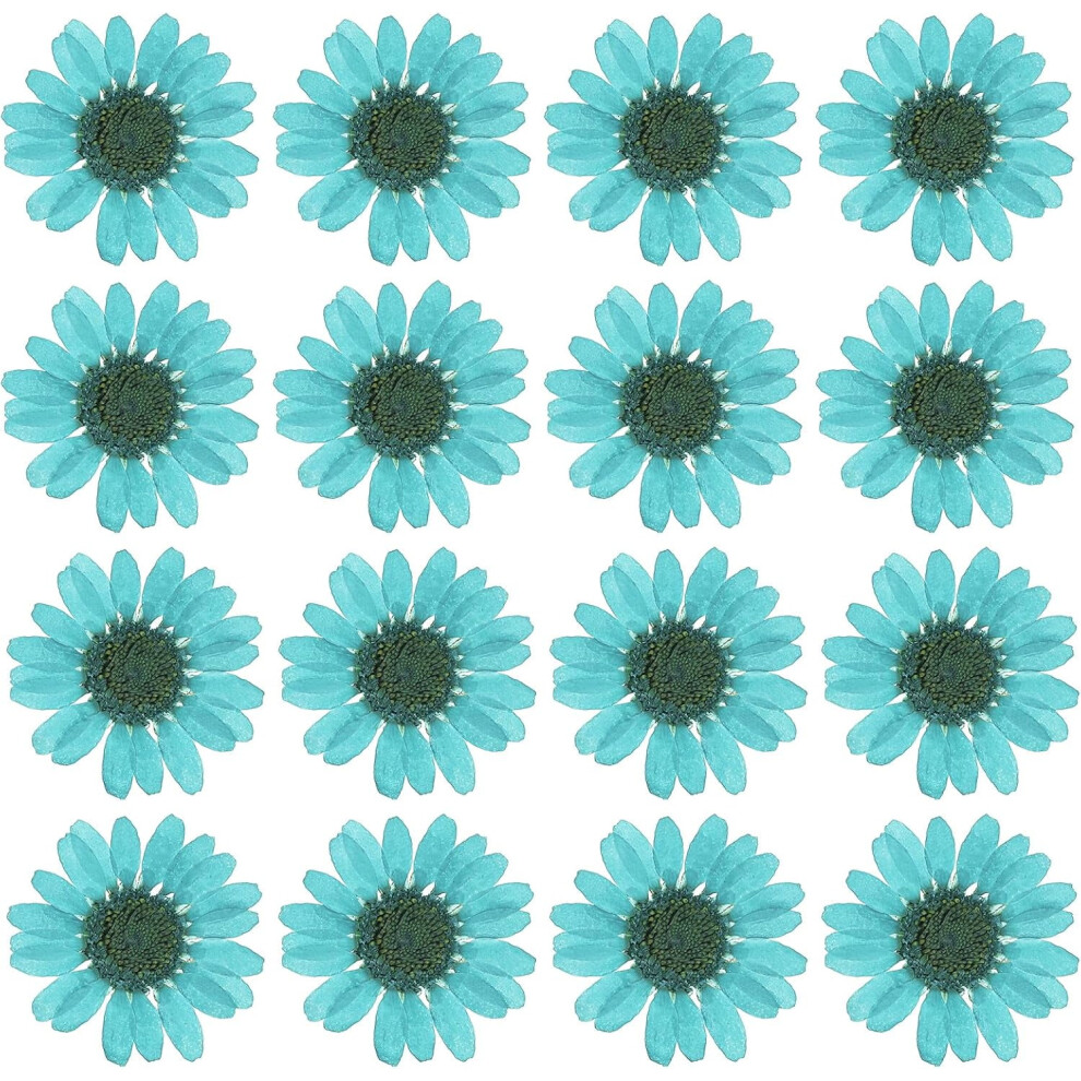 Dried Daisy Flowers Pressed For Decoration 48 Pcs 9023022058454